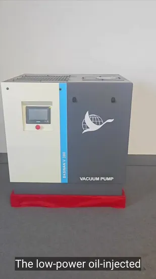 High Performance Operational Safety Swan Series Screw Vacuum Pump for Industrial Use